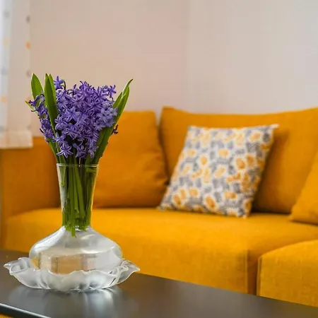 4 & 6 Apartment